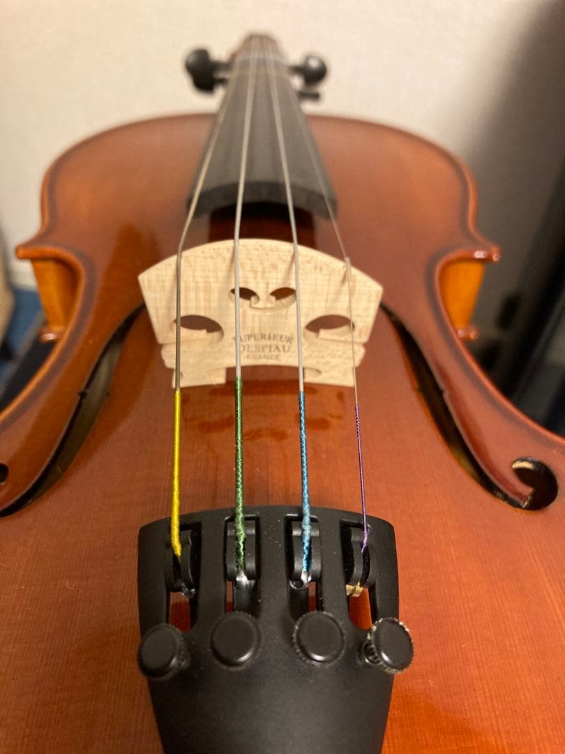 バイオリン ケース付き