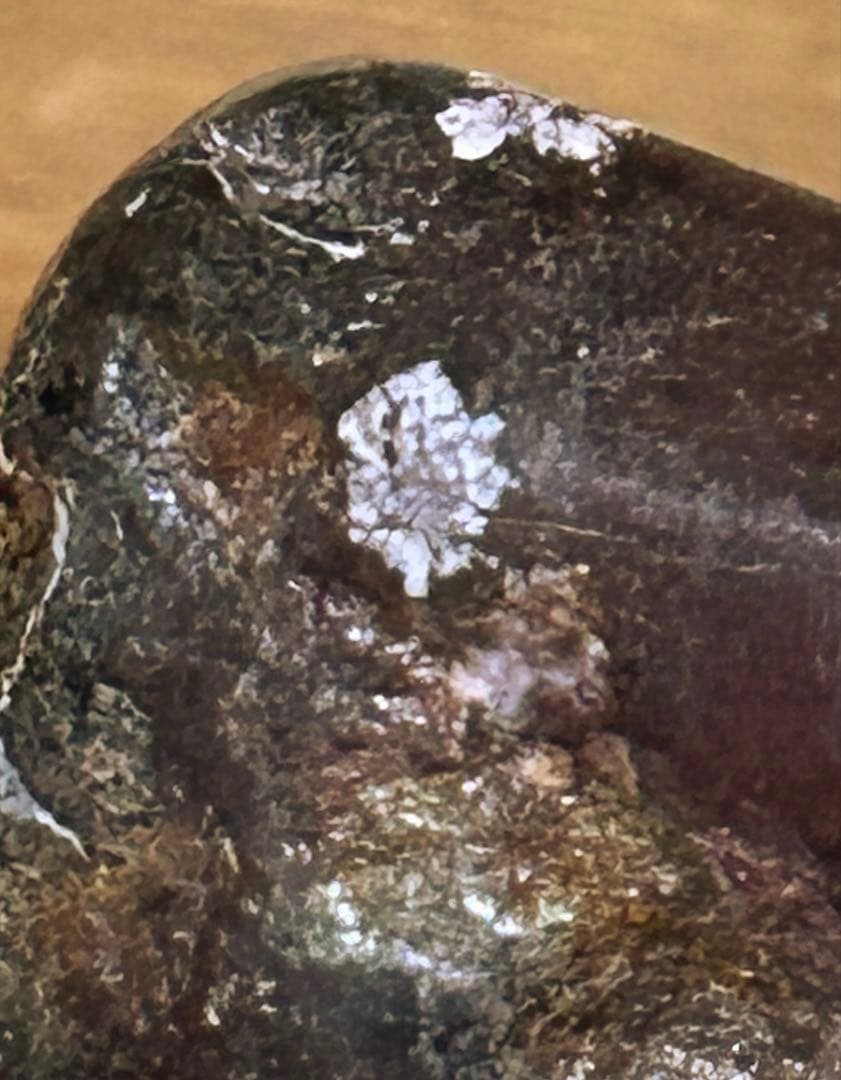 菊花石　菊紋石　根尾菊花石　飾石　天然石　水石 鑑賞石　自然石　原石　鈜物　置物