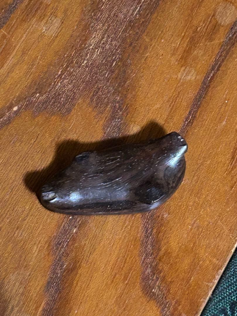 菊花石　菊紋石　根尾菊花石　飾石　天然石　水石 鑑賞石　自然石　原石　鈜物　置物