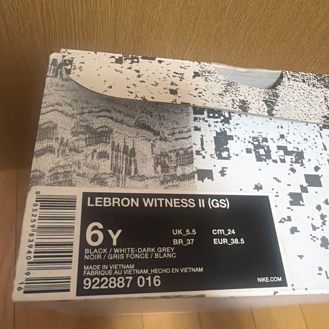 シューズ(男性用) LEBRON WITNESS II (GS) 6Y