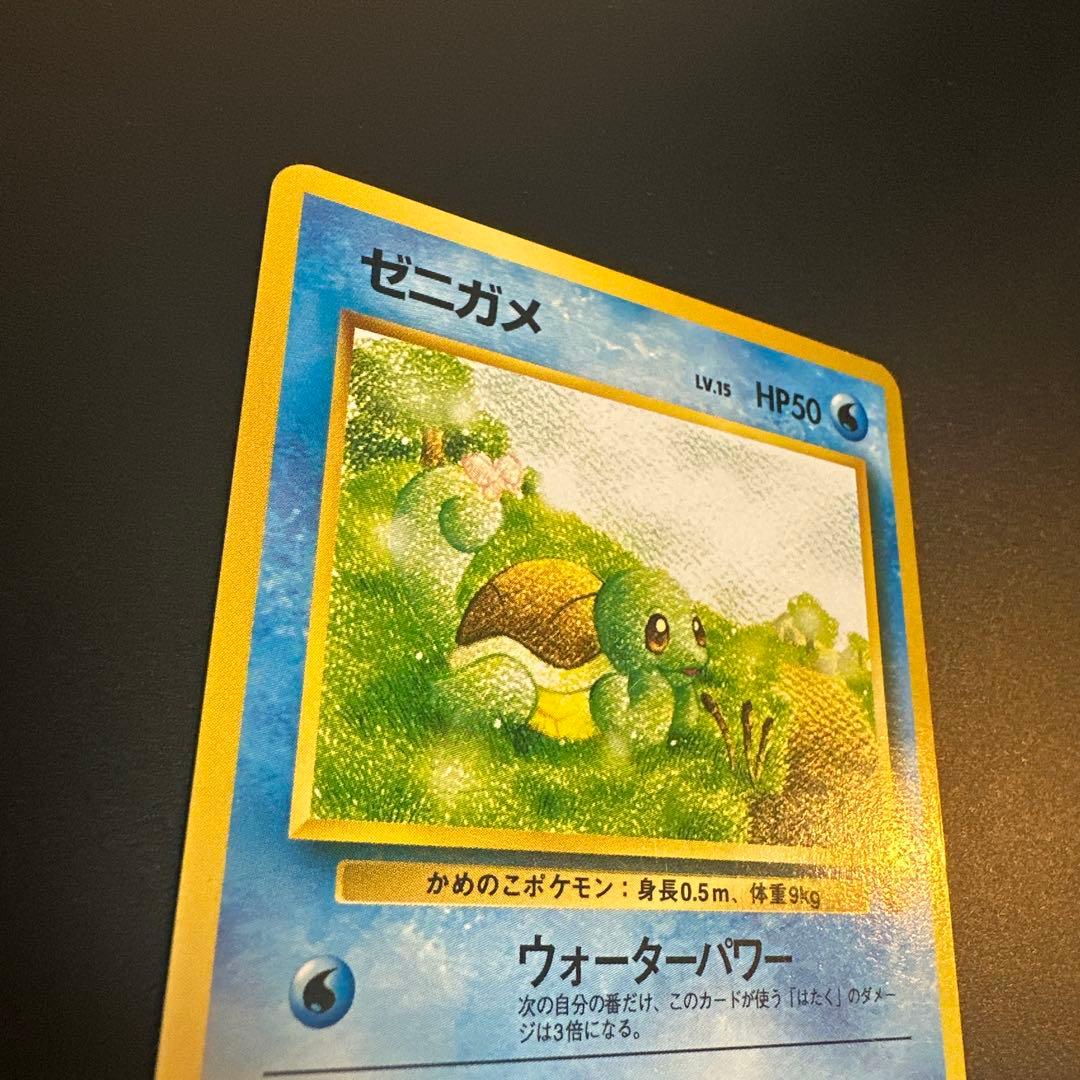 【旧裏】マークなしゼニガメ含む3枚セット