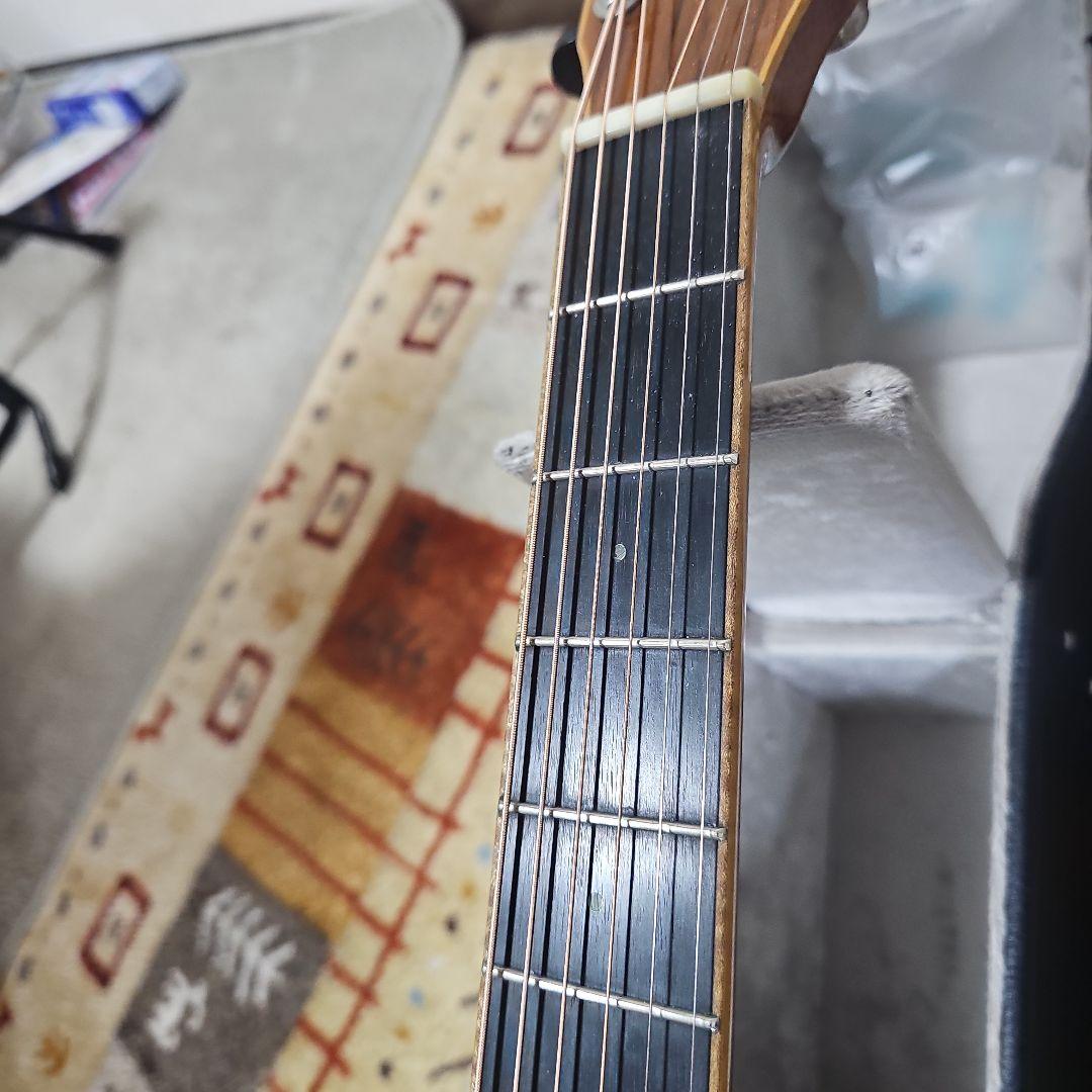 Court.MR.AS4エレアコ総単板！ 純正ハードケース付き。