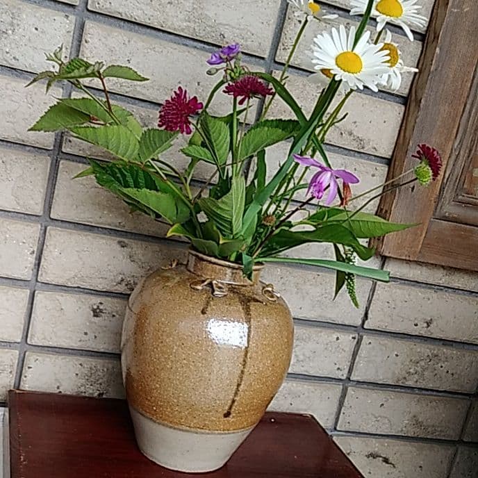 「*信楽(しがらき)*四耳(しじ)茶壺」焼小壺(高さ20cm) 骨董アンティーク