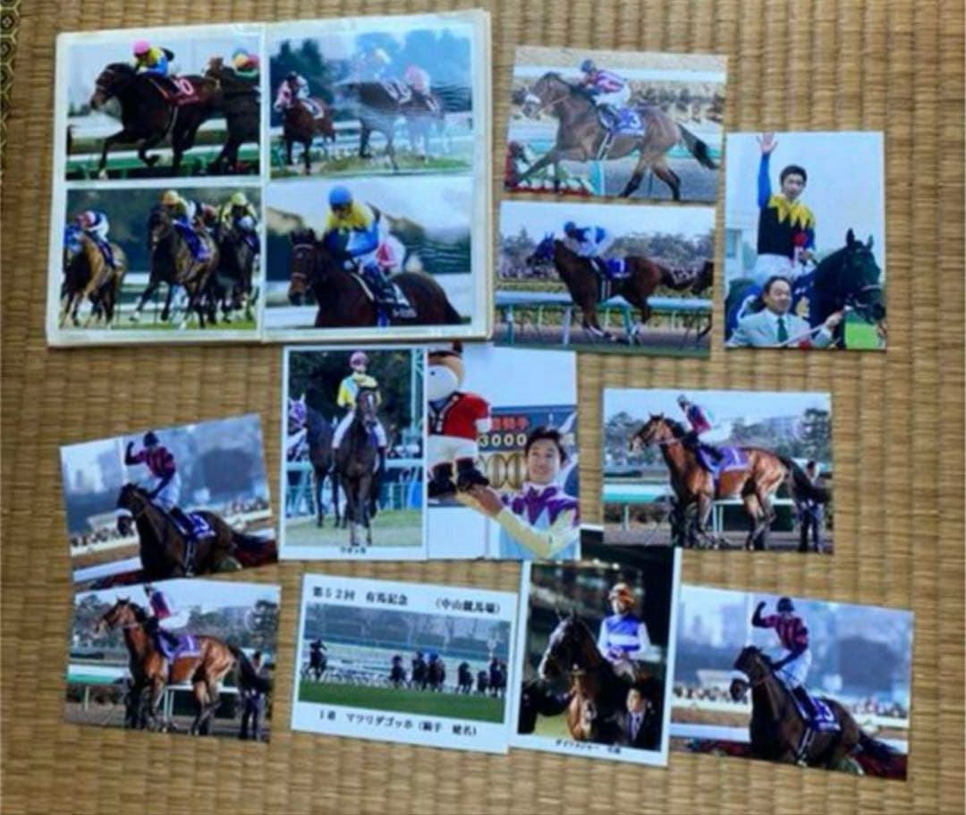 JRA 競馬 写真集