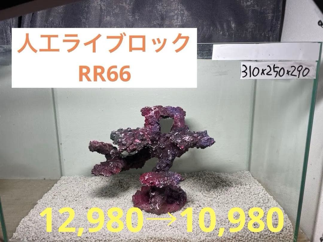 人工ライブロック RR66 アク抜き済み安心塗料使用