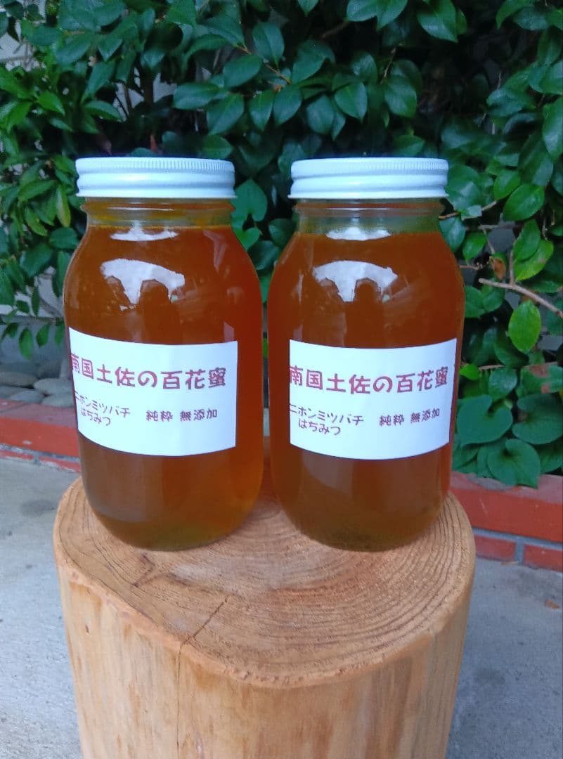南国土佐の百花蜜　ニホンミツバチ蜂蜜100%　無添加　無加工　タレ蜜