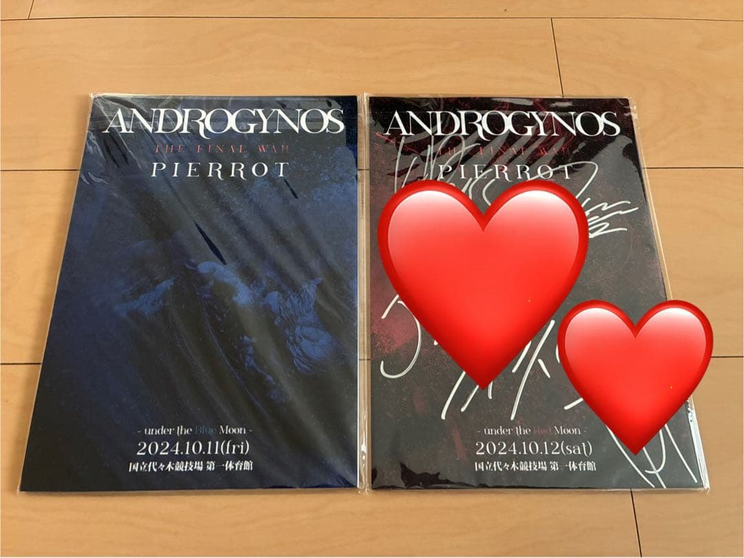 DIR EN GREY PIERROT パンフレット サイン入り