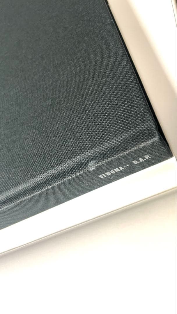 daido MORIYAMA: stray dog 写真集（海外版）【中古】