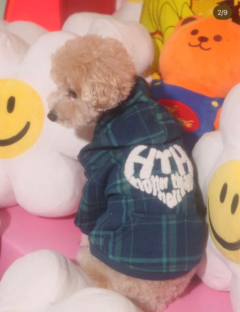 wiggle wiggleとHTHのコラボ 犬用フード付きパーカー　2枚セット