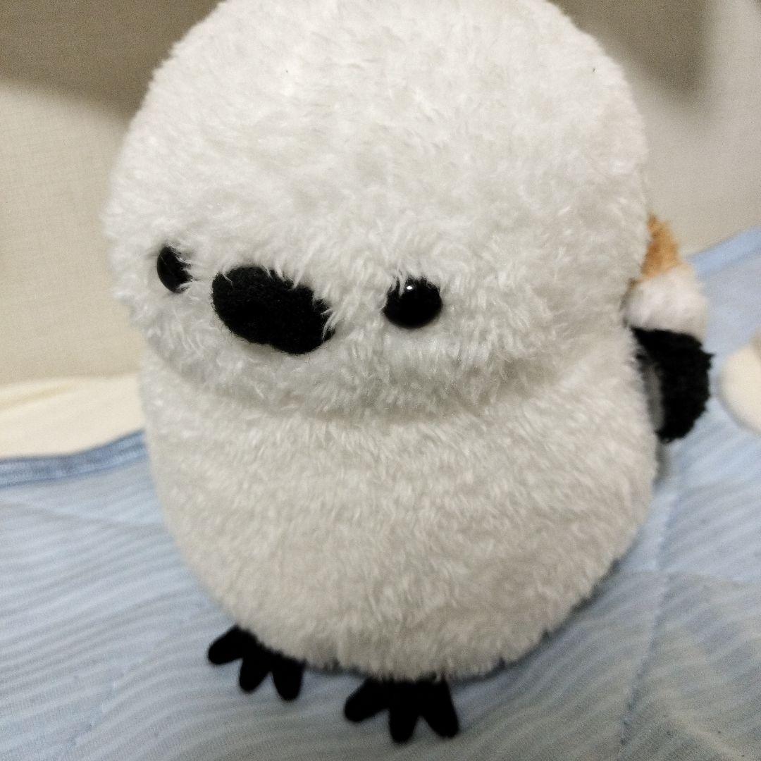 草むらから歩いてたらいきなり出てきた伝説のシマエナガ