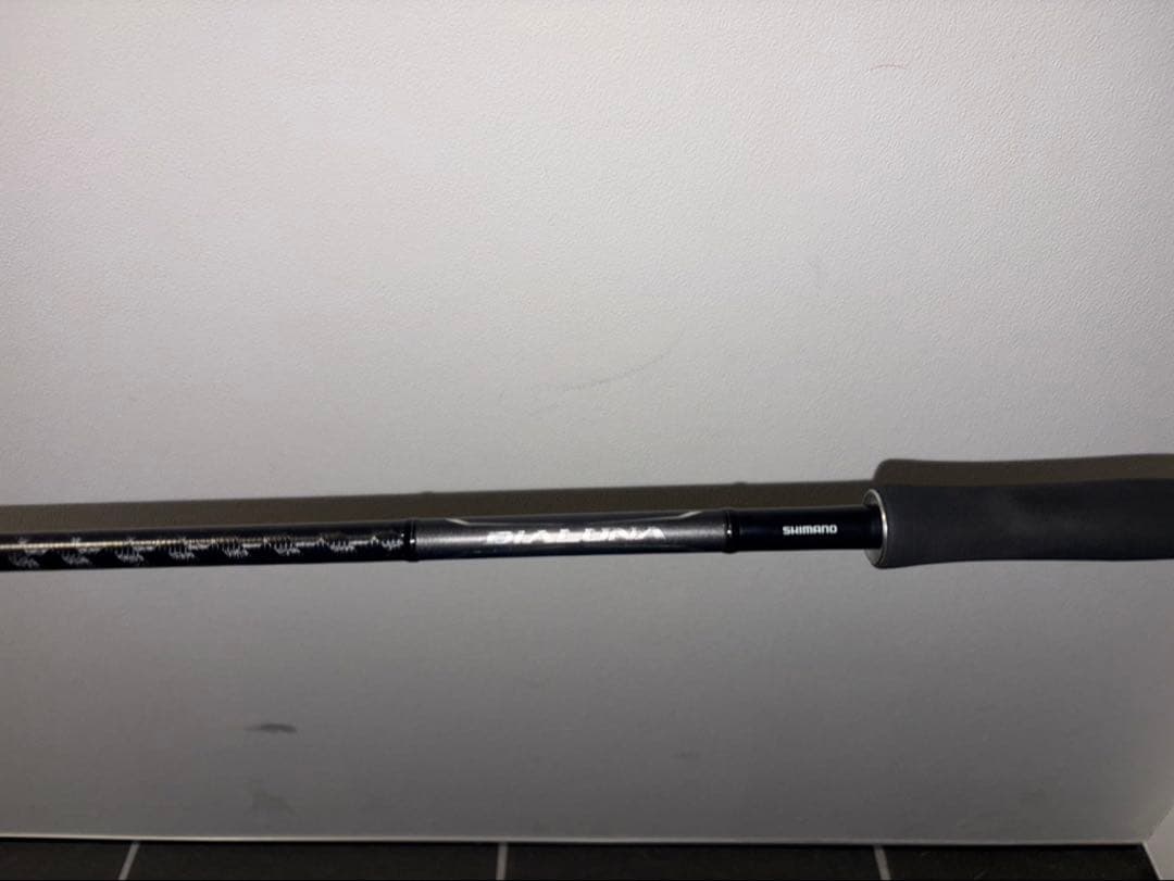 シマノ　18ディアルーナ S96M