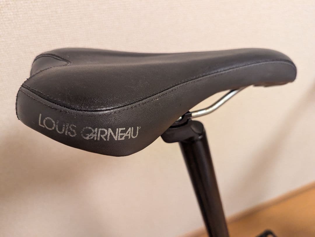 ルイガノ LGS-POP シマノ8速20インチ406 LOUIS GARNEAU