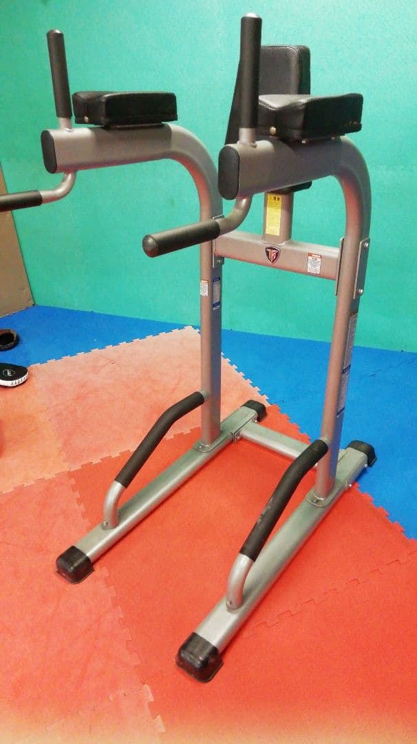 タフスタッフ　ディップススタンド