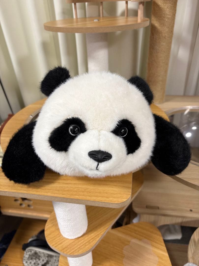 「中国成都限定」パンダ　ぬいぐるみ
