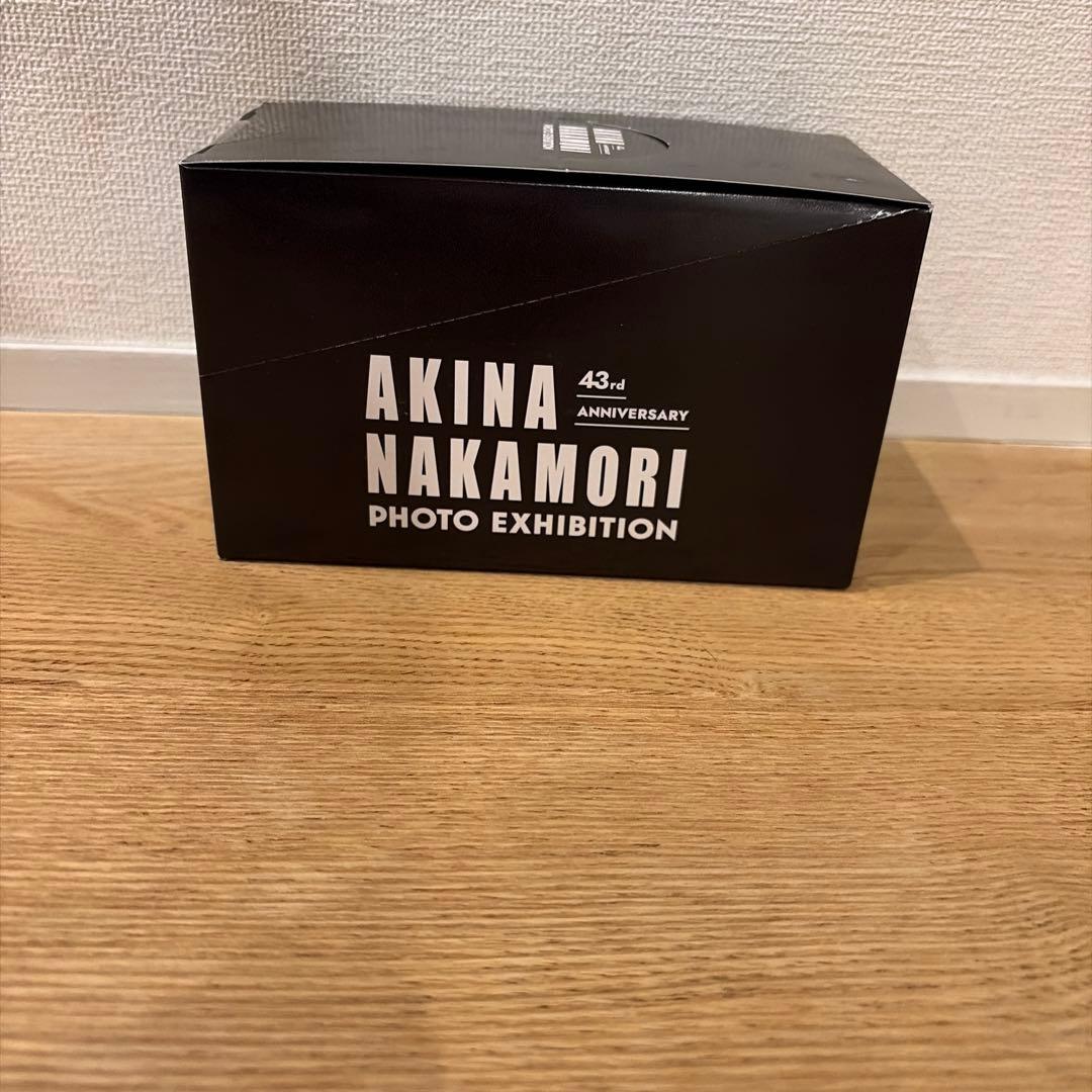 中森明菜 写真展限定　ジャケットアクリルキーホルダー　15種　コンプリートセット