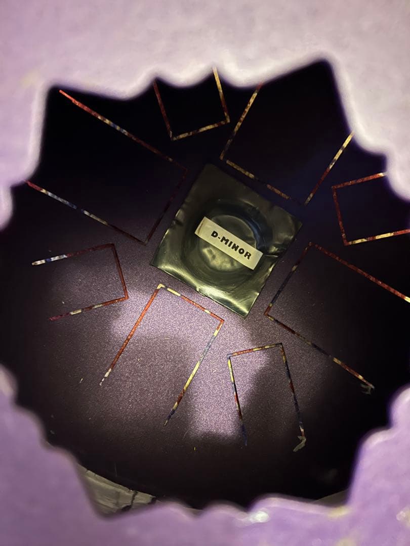 HAPI ハピドラム パーカッション楽器 Dマイナー Eメジャー 2種セット