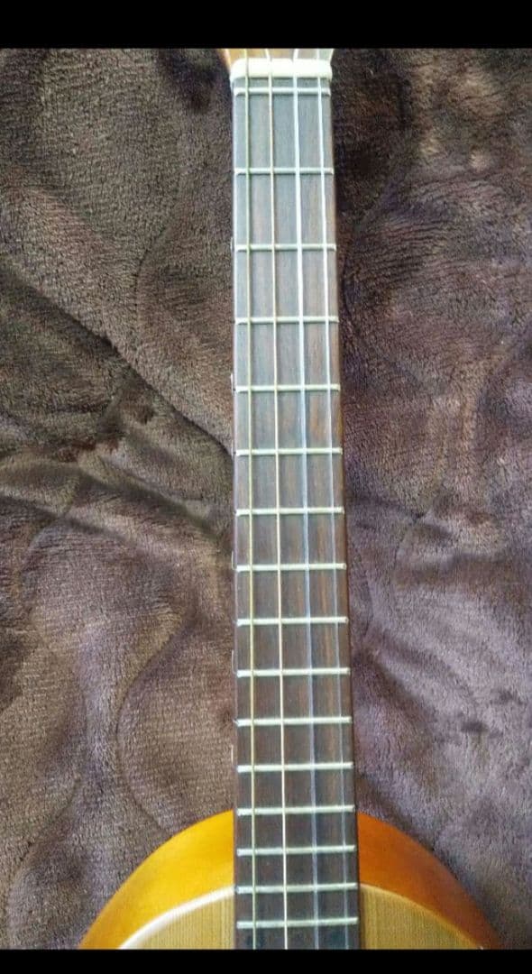 一五一会　奏生　かない　ウクレレ×三線×ギター　DVD付き Begin