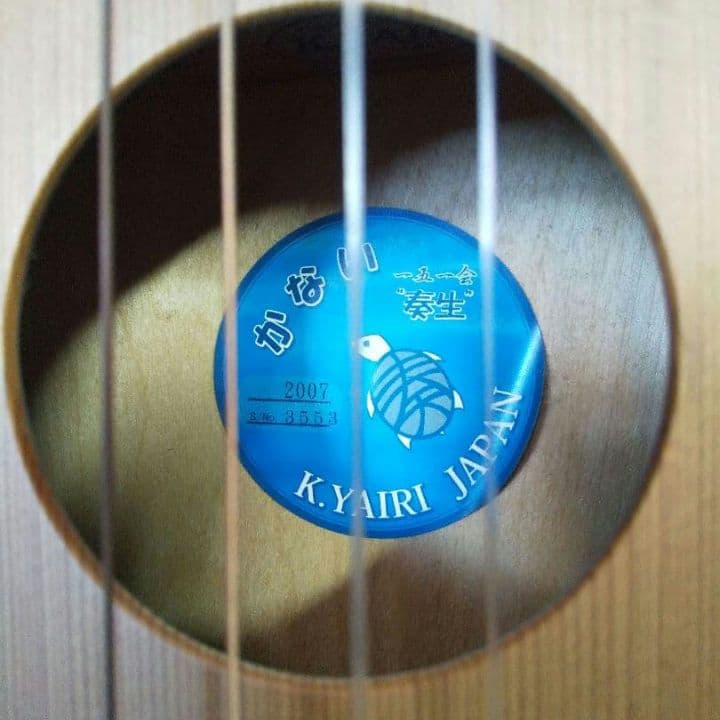 一五一会　奏生　かない　ウクレレ×三線×ギター　DVD付き Begin