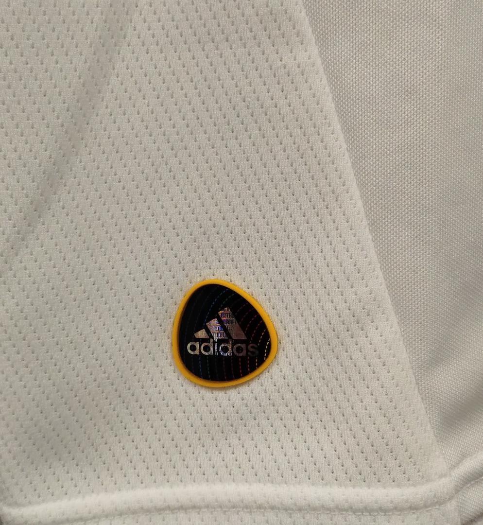 中村俊輔 2010 日本代表ワールドカップオランダ戦