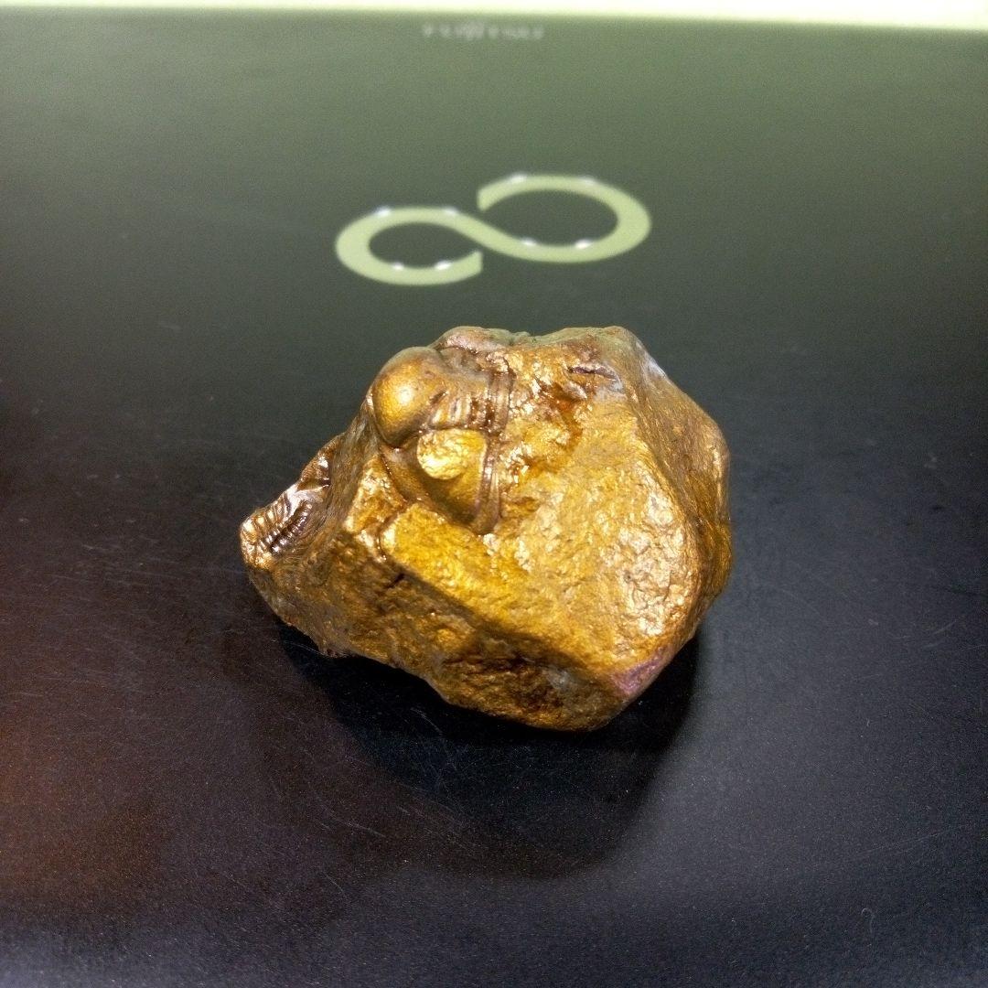 三葉虫　化石　fossil　ボリビア産　レア　Fossil管理④