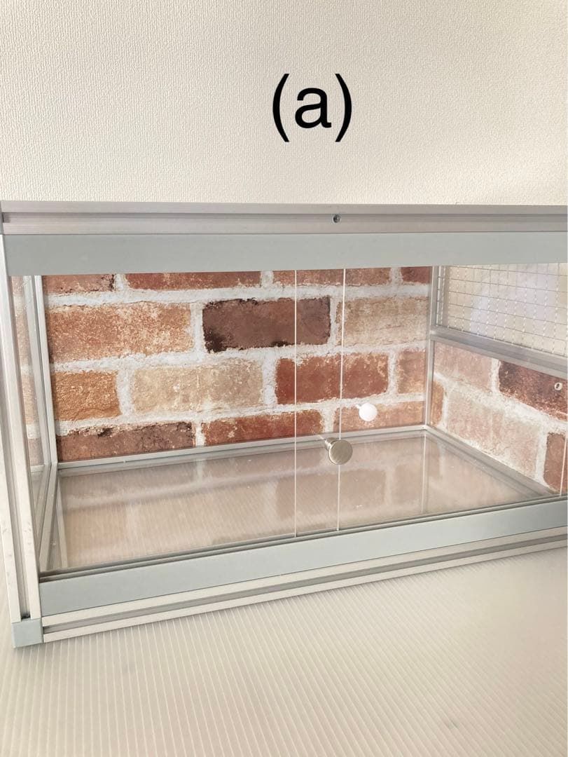 小動物、爬虫類