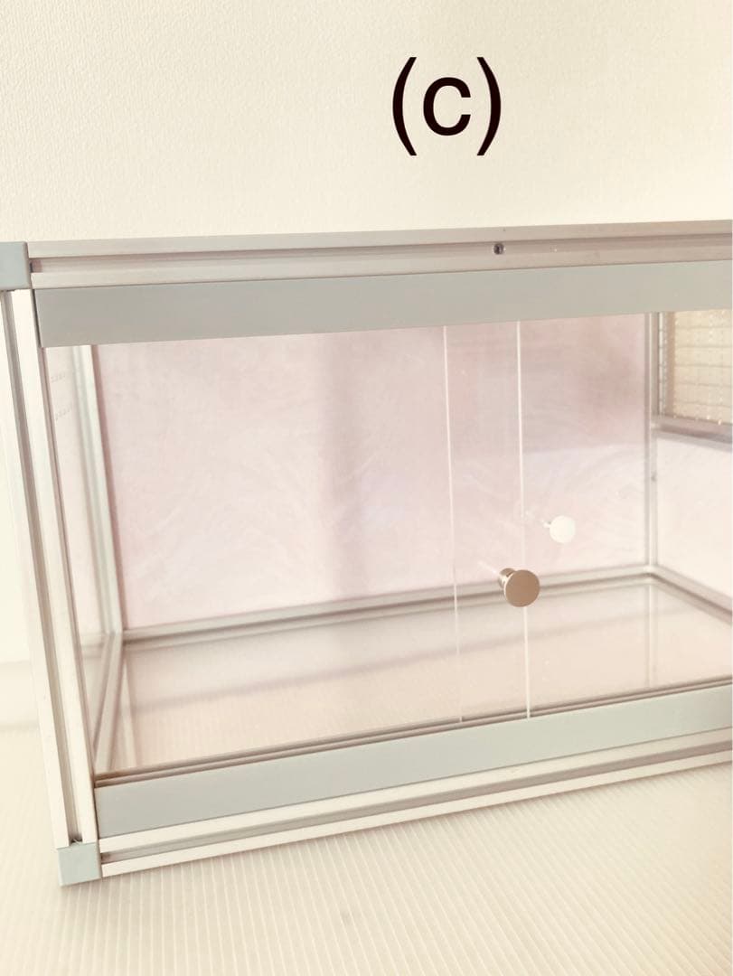 小動物、爬虫類