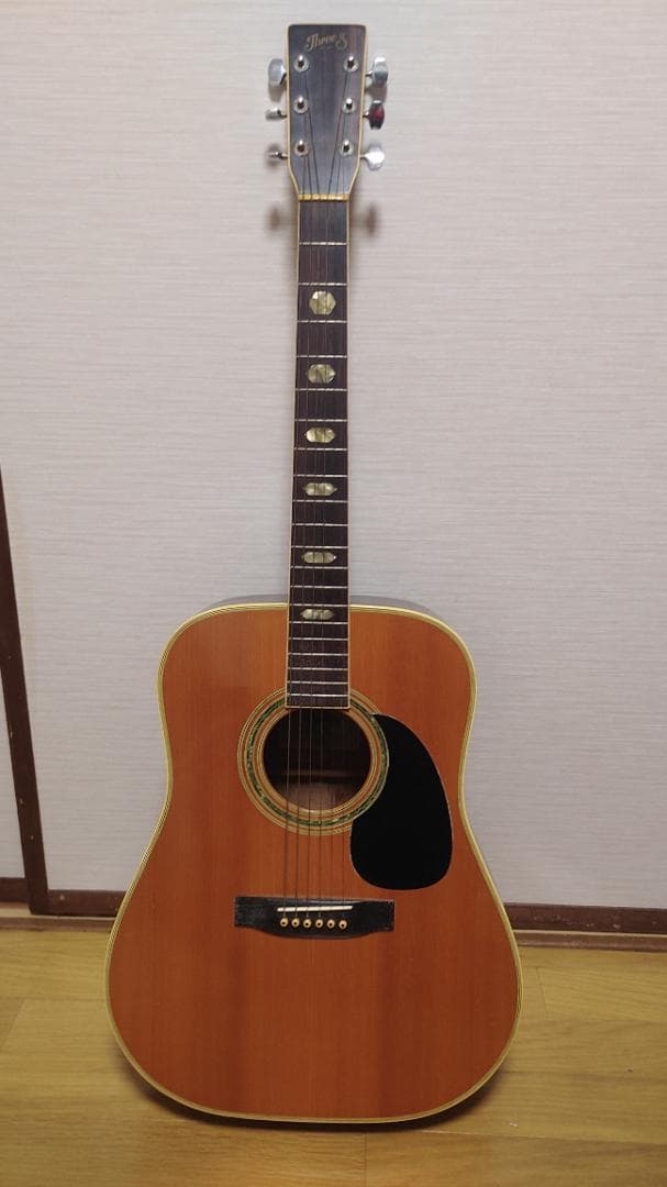 ギター ThreeS W-200