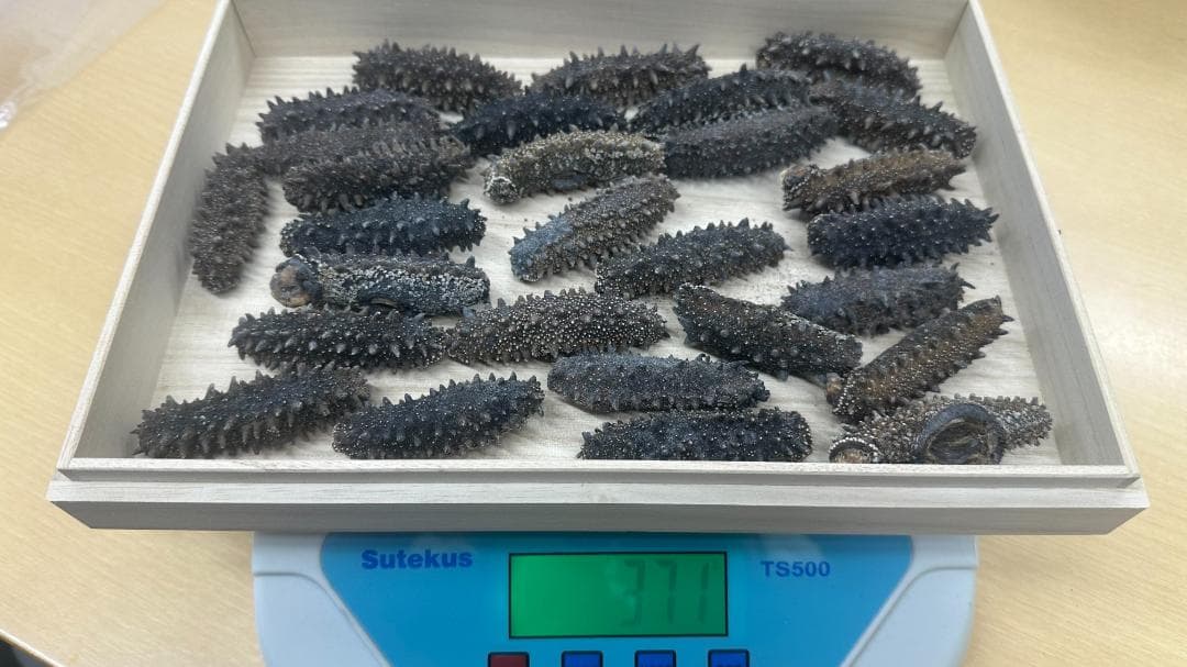 専用 ナマコ 371g