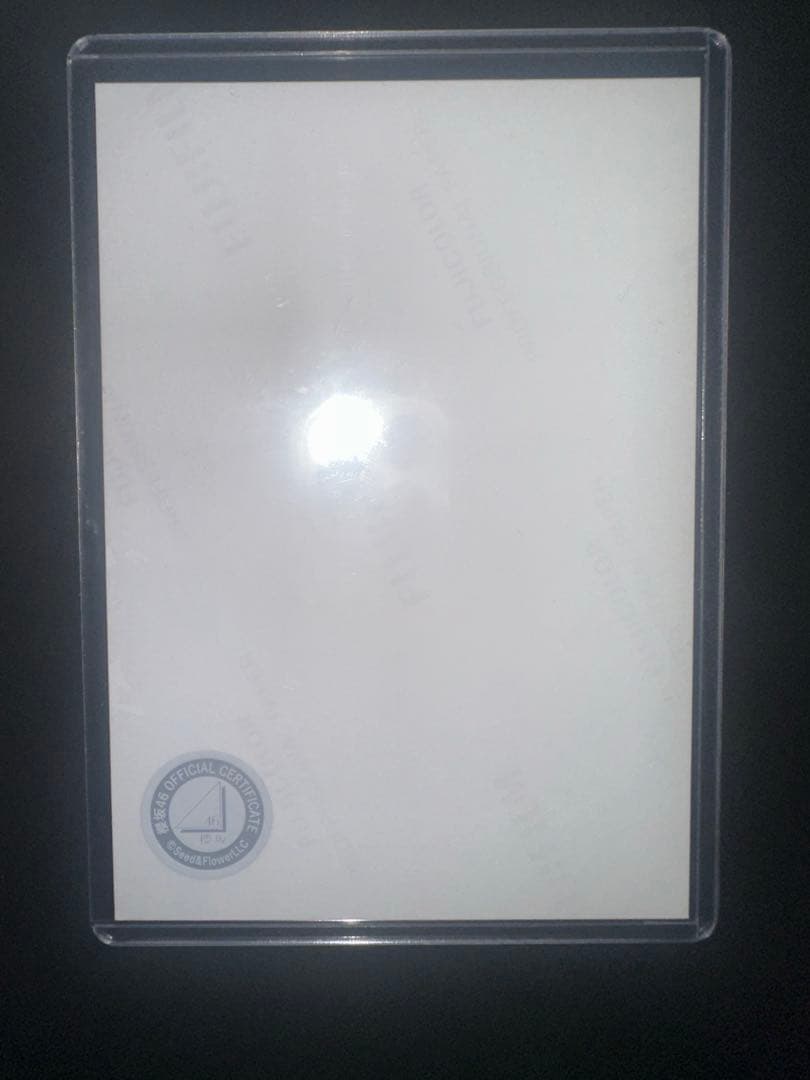 【なぎっこ】櫻坂46 直筆サイン 村山美羽 2025サンタ