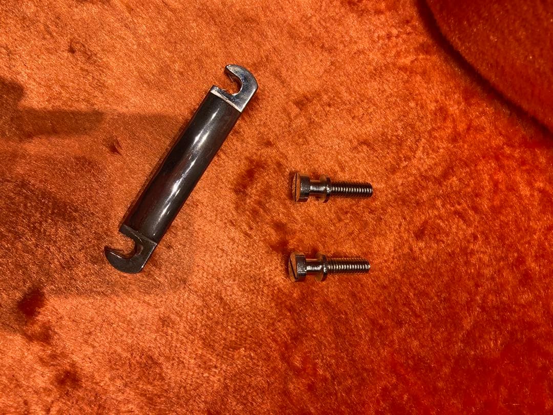 Epiphone les paul Standard レアカラー