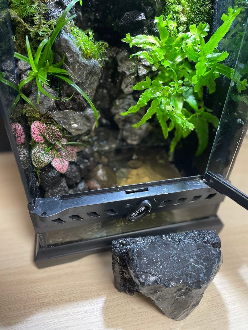 【完成品】2段の滝があるアクアテラリウム