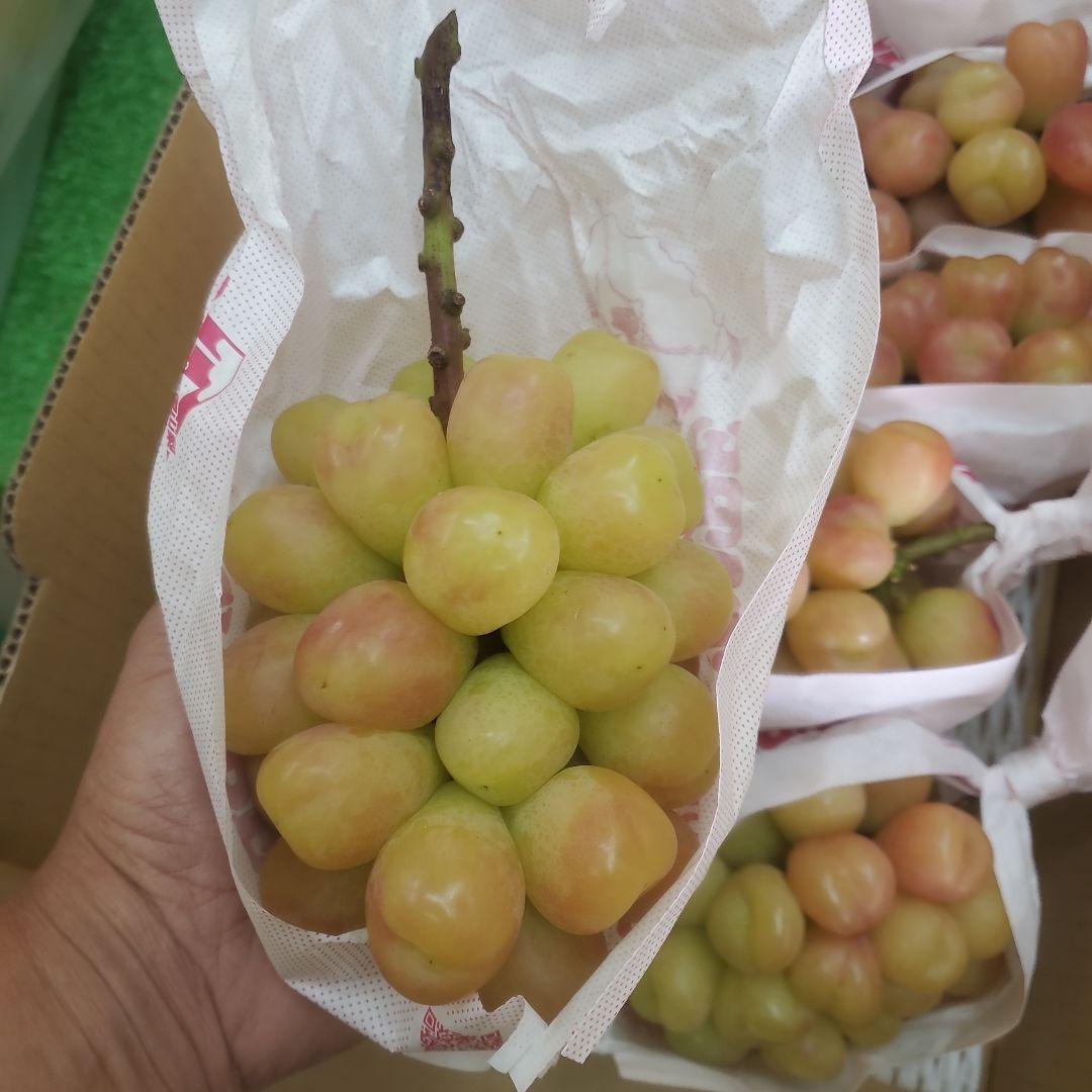 1⃣5️⃣ 山梨県産 マイハート １０房入り 箱込み5.8キロ