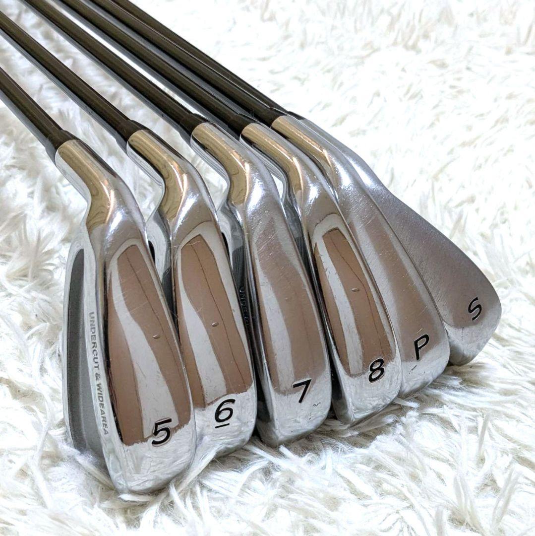左利き レフティ IGNIO メンズアイアン 6本セット FLEX R カーボン