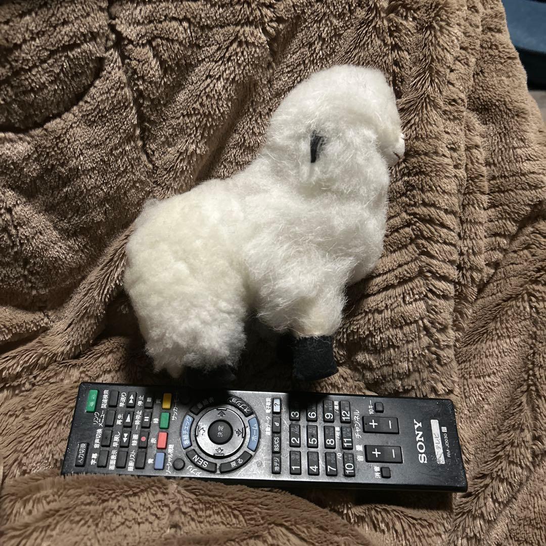 ペルー現地購入　アルパカぬいぐるみ5点セット