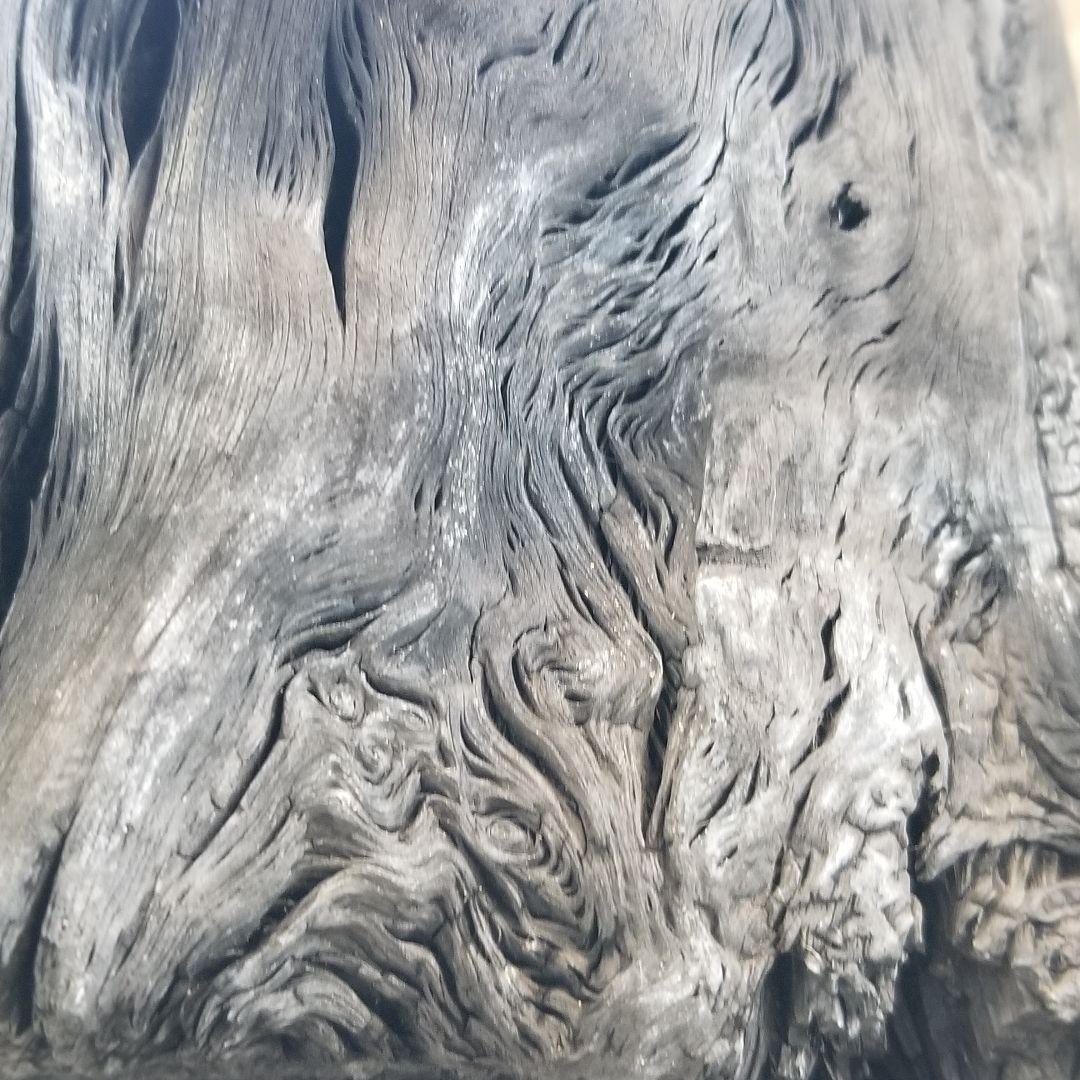 天は皿状　紀州備長炭オブジェ　一点もの　希少