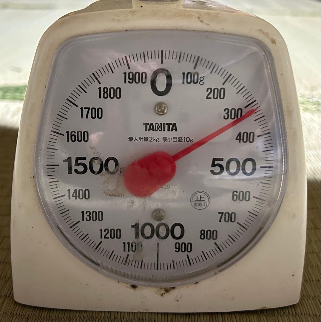 ☆信州産松茸☆今現在約320グラム☆まつたけ☆クール便送料込み☆国産松茸☆