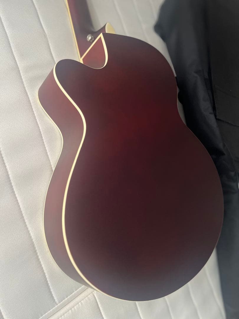 アコースティックギター カッタウェイ ツリーオブライフ ナチュラル