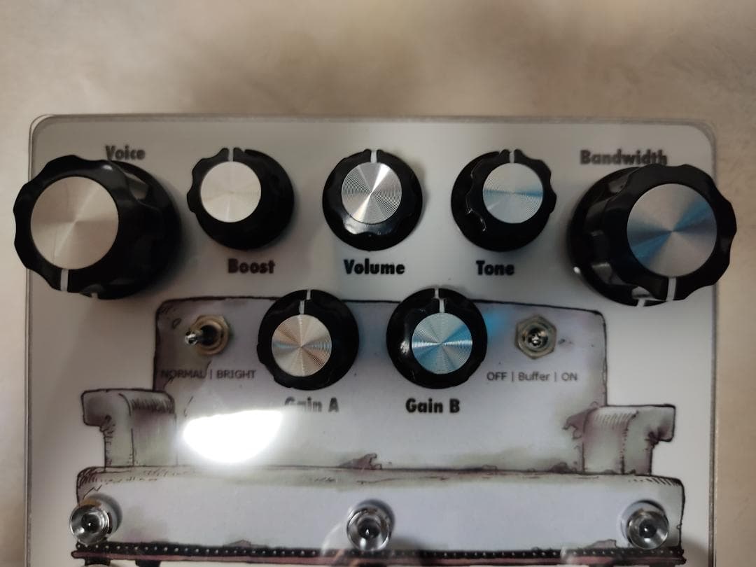 EarthQuaker Devices palisades 自作エフェクター