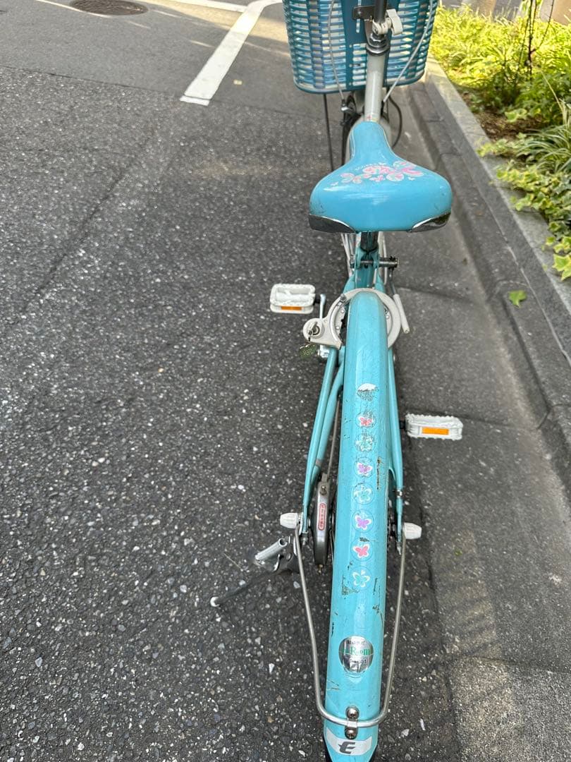 文京区引き取り限定です⭐︎ 水色 ブリヂストン ECOPAL グリーン 24インチ