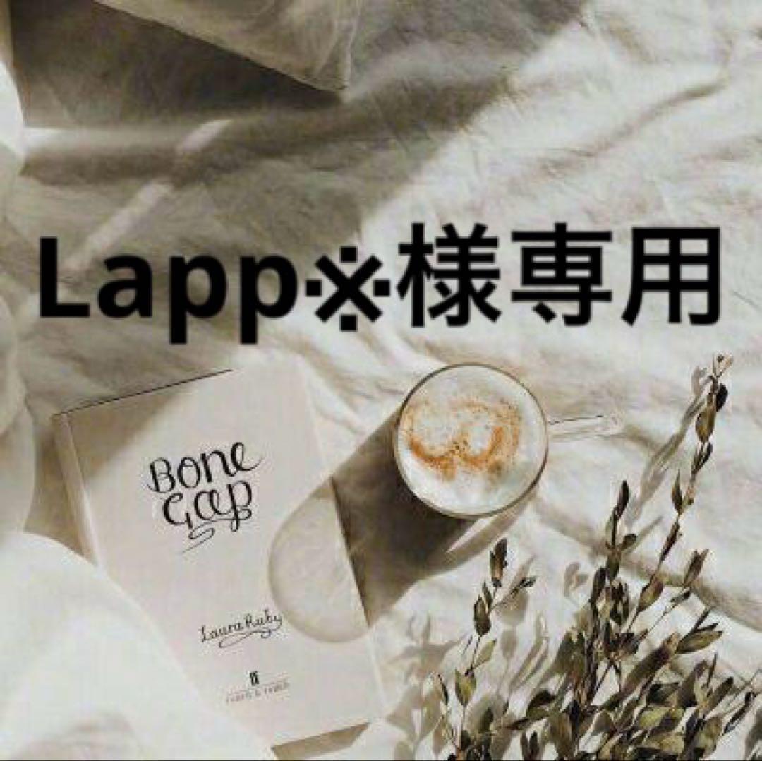 Lapp※土日祝は発送してません　0808