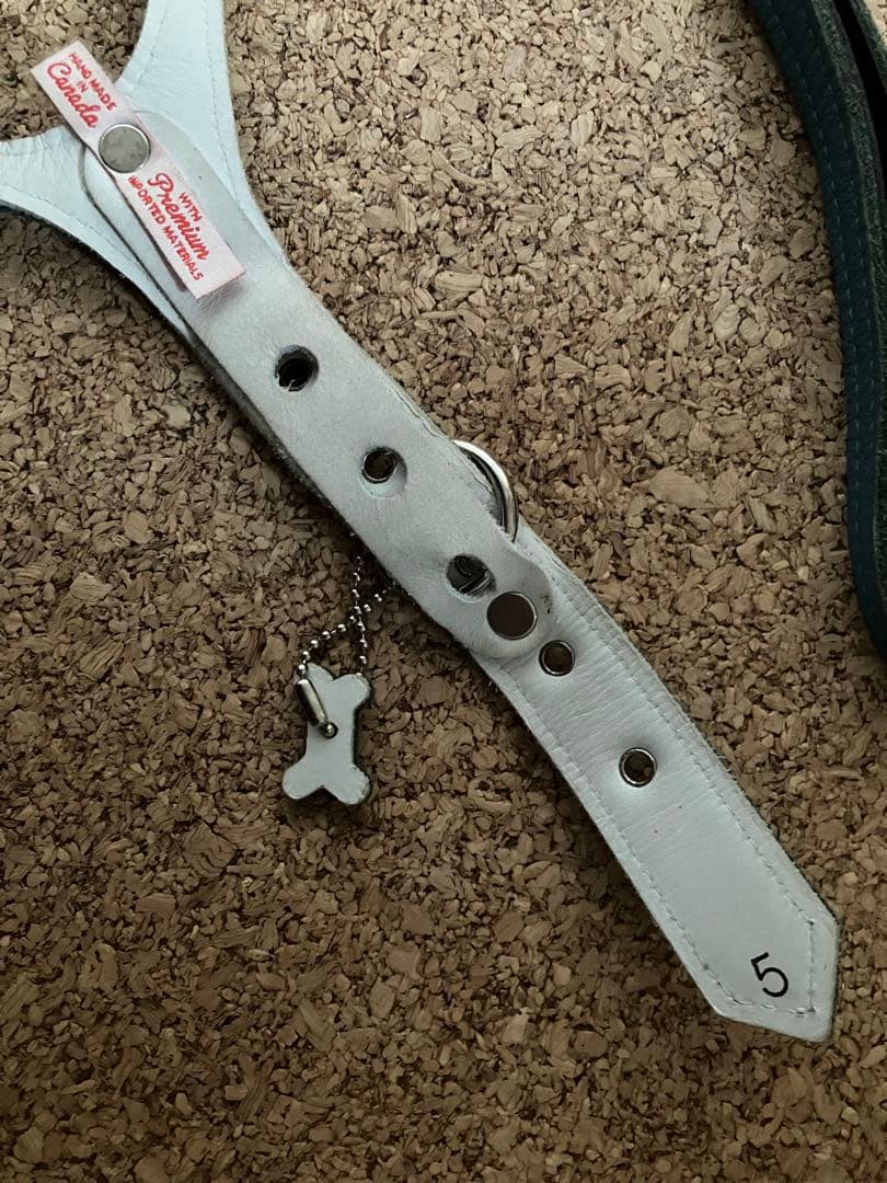 バディベルト　オールレザー 限定カラー ハーネス５号とリードS