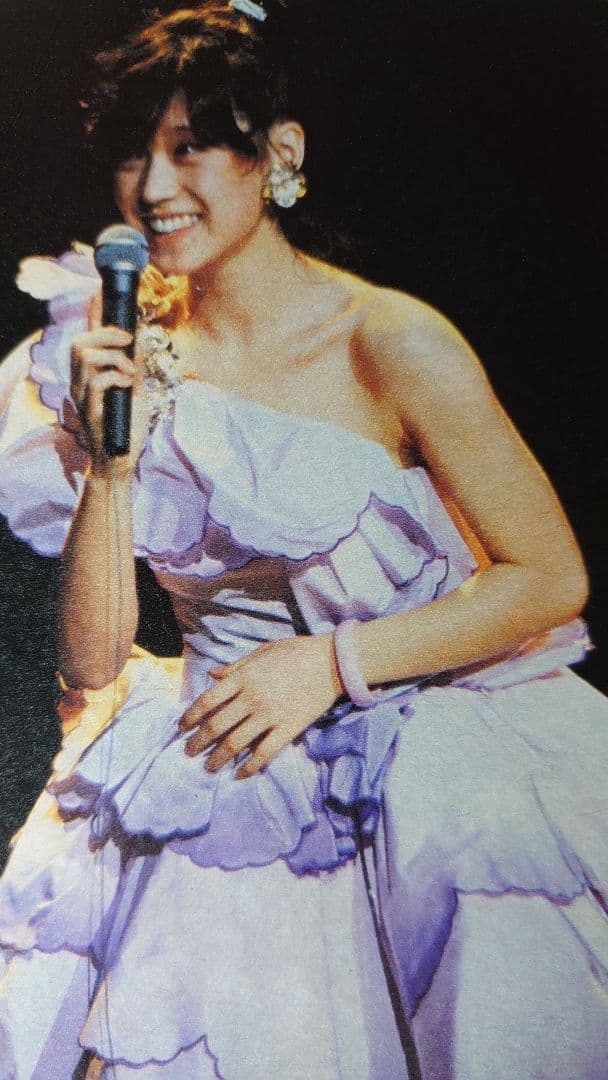 中森明菜　1982年〜1986年 大量　切り抜き　ファイル　2冊　120P