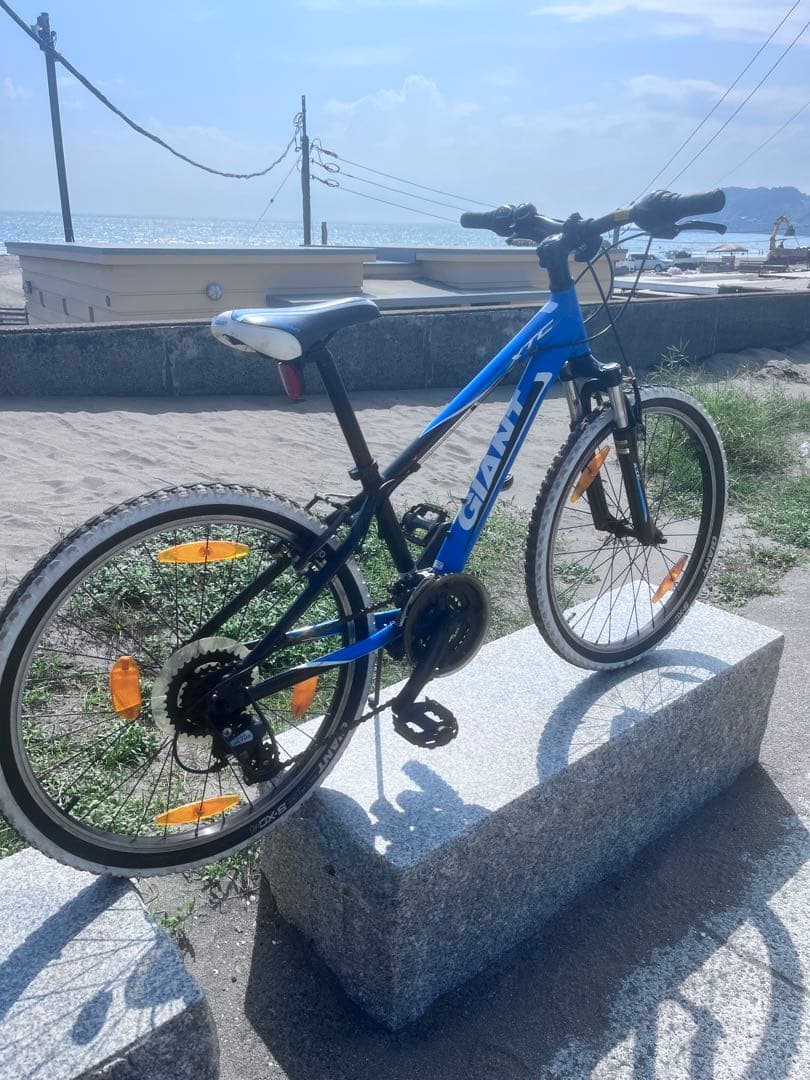 GIANT24インチ新品チューブ不具合無し