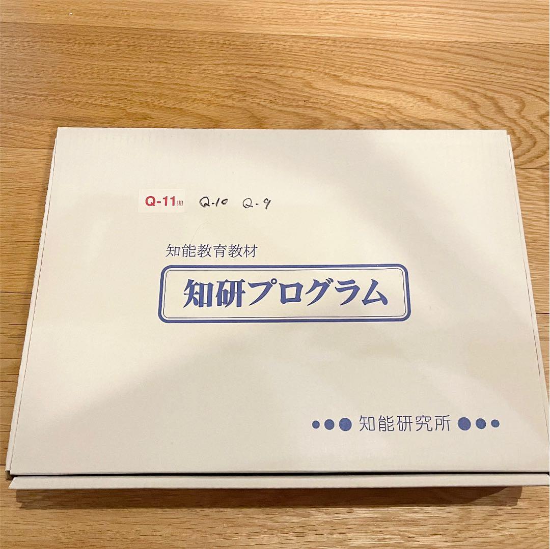 【知研教材】【CD2枚付】ベビーパーク、キッズアカデミー