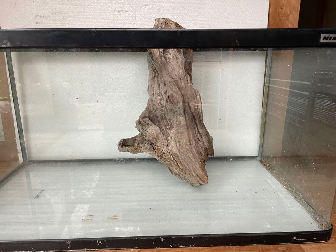 大型　☆アクアリウム　生花　テラリウム 爬虫類　天然流木 ホーンウッド　⭐︎