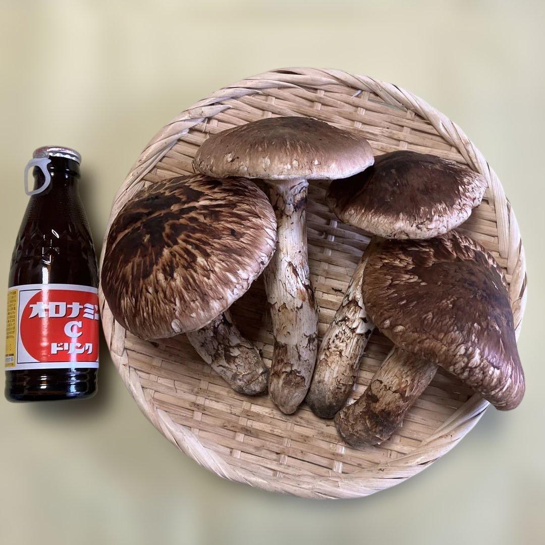 岩手県産松茸　370g