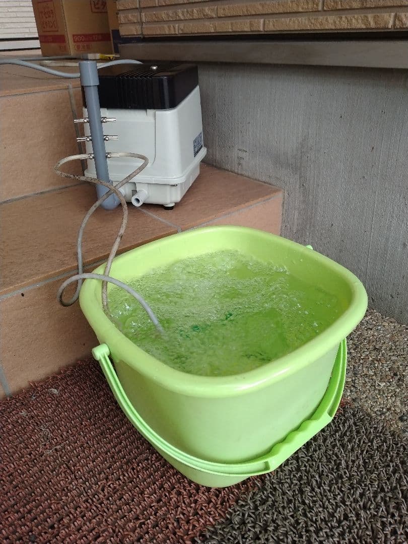 【安永(EP-80E-L)80L】334　エアポンプ　ブロワ　浄化槽