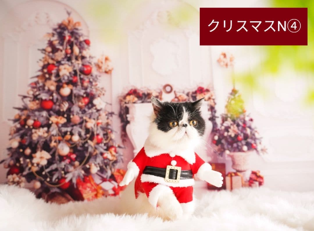 背景布×15枚+3　ペット撮影用フォトブース　トリミングチョーカー販売中