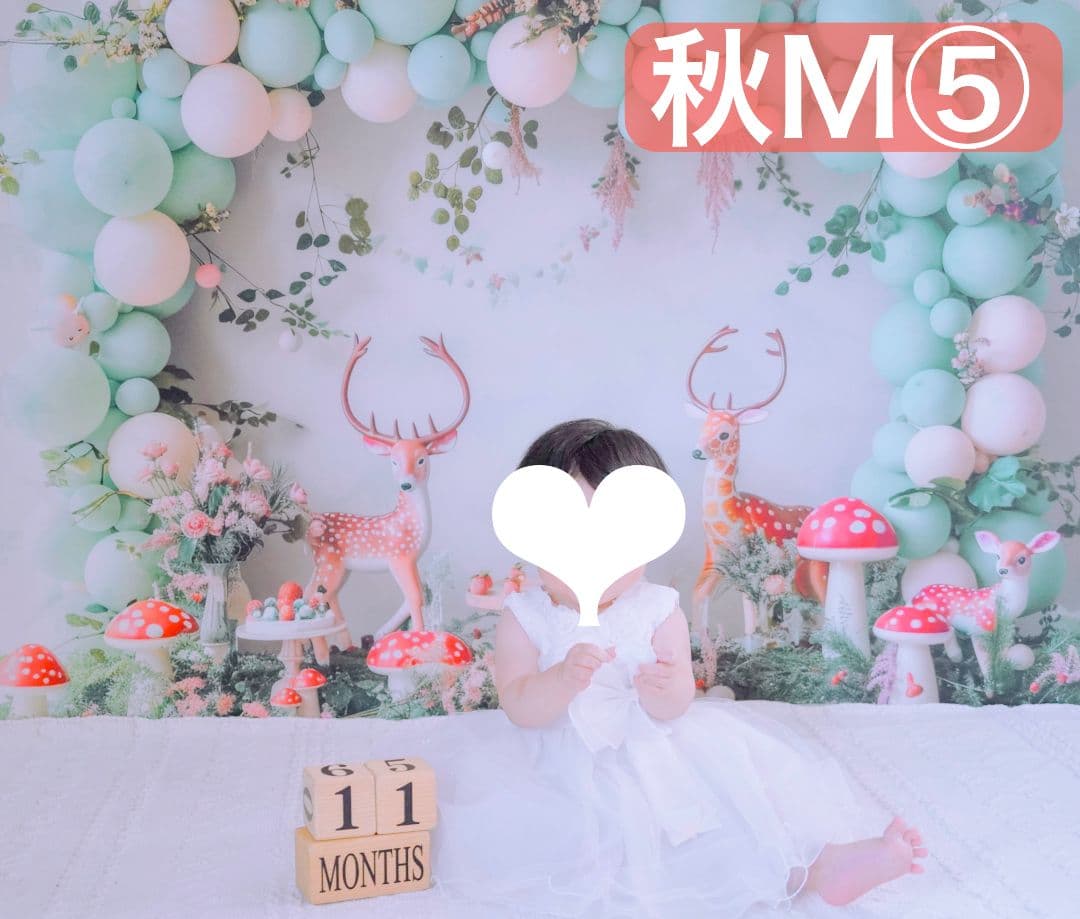 背景布×15枚+3　ペット撮影用フォトブース　トリミングチョーカー販売中