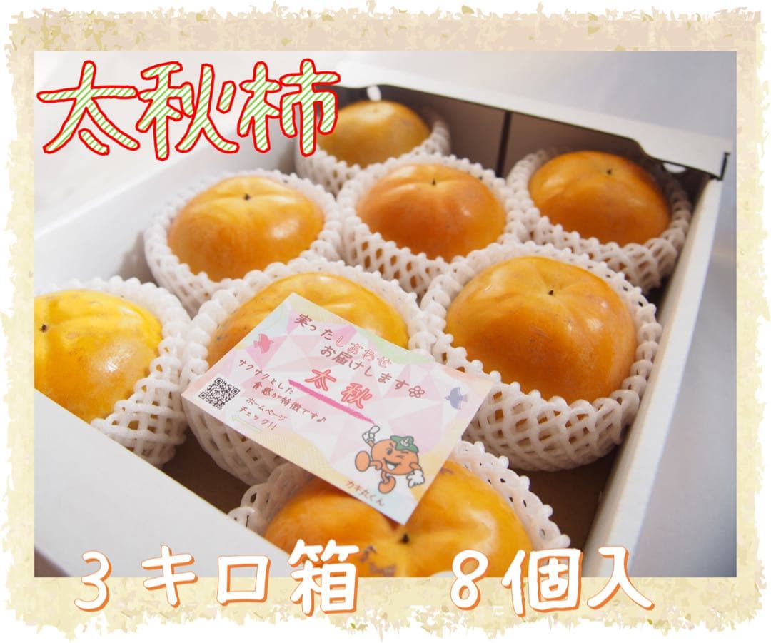 《みなみかぜさま専用》【太秋柿】３キロ箱8個入1箱　７個入2箱